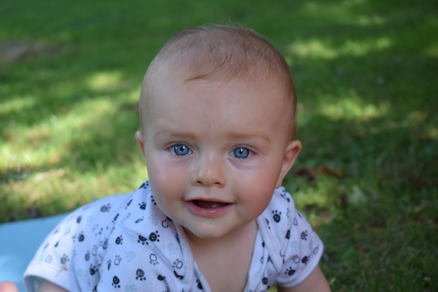 Baby update – Alex is 8 months