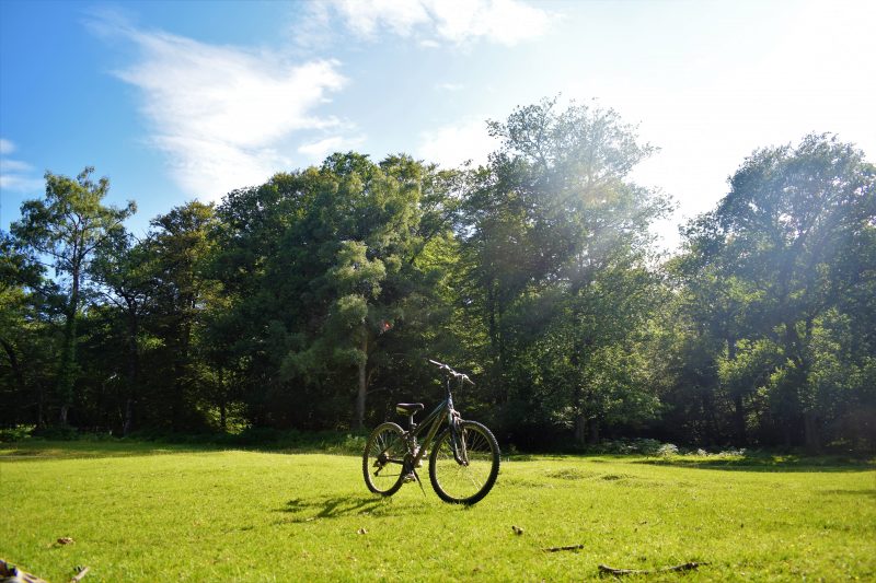 cycling and camping the new forest