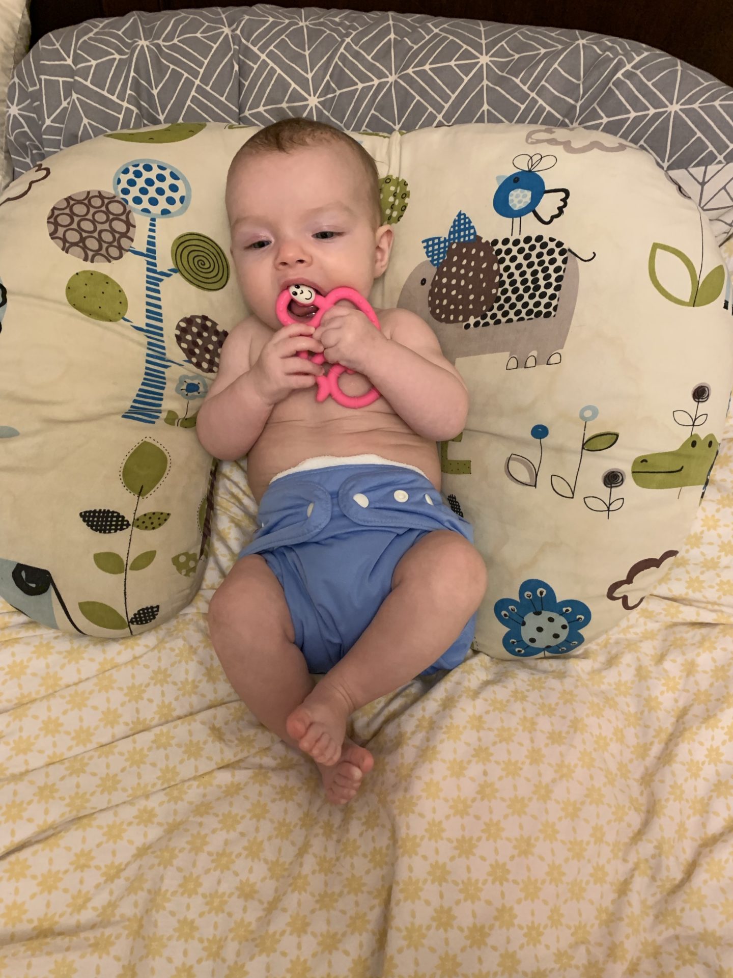 A beginners guide to using reusable nappies – everything you need to know about switching to cloth nappies